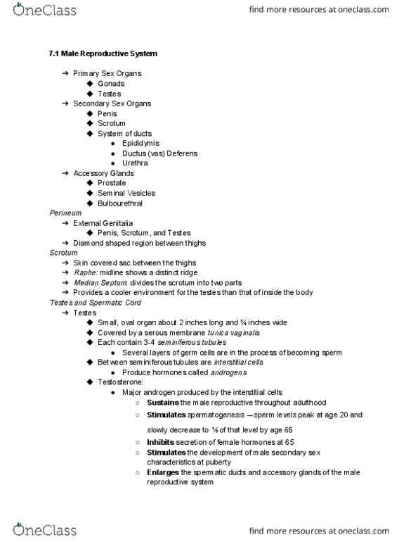 PHAR 1002 Lecture Notes - Lecture 7: Erythropoiesis, Hydrocele, Varicose Veins thumbnail