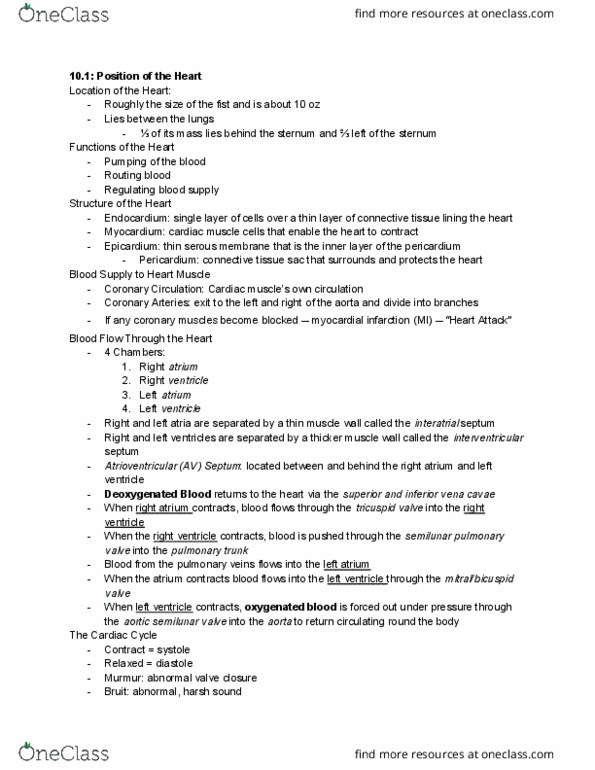 PHAR 1002 Lecture Notes - Lecture 10: Cranial Cavity, Endothelium, Pericarditis thumbnail