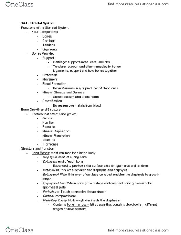 PHAR 1002 Lecture Notes - Lecture 14: Kyphosis, Pubic Symphysis, Latissimus Dorsi Muscle thumbnail