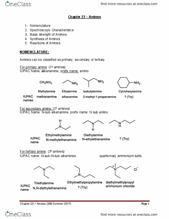 01:160:308 Lecture Notes - Lecture 24: Solvation, Amine, Ketone thumbnail
