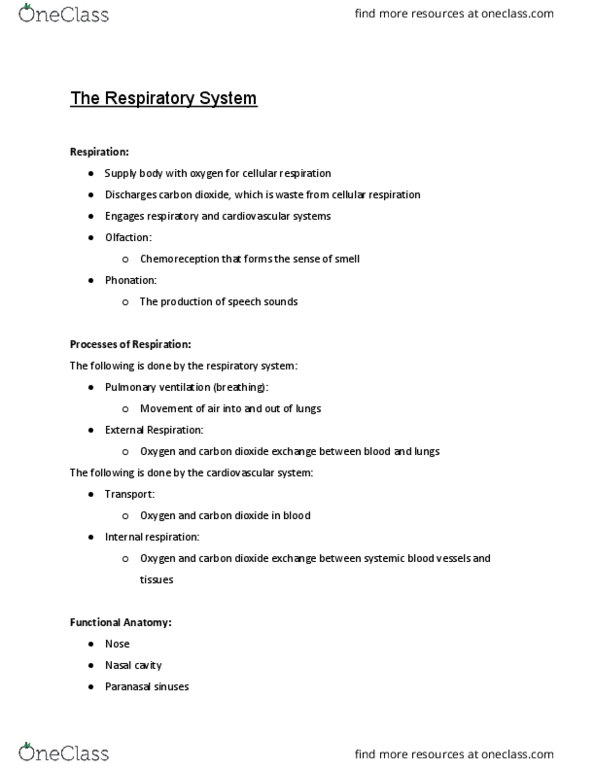 ANP 1105 Lecture Notes - Lecture 16: Palatine Uvula, Lysozyme, Rhinitis thumbnail