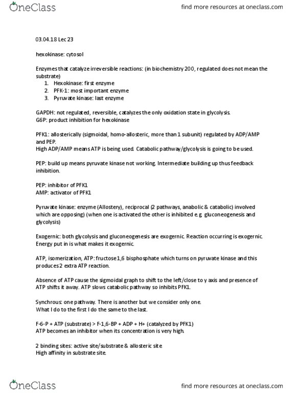 BIOCH200 Lecture Notes - Lecture 23: Skeletal Muscle, Cardiac Muscle, Conjugate Acid thumbnail