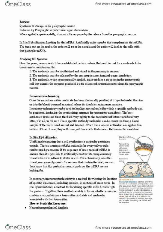 PSYC 355 Chapter Notes - Chapter 6: Gaba Receptor, Magnesium, Adenosine thumbnail