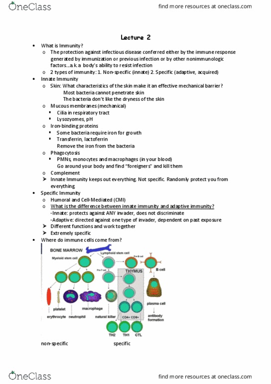 HSS 1100 Lecture Notes - Lecture 2: Organism, Immunoglobulin G, Staphylococcus thumbnail