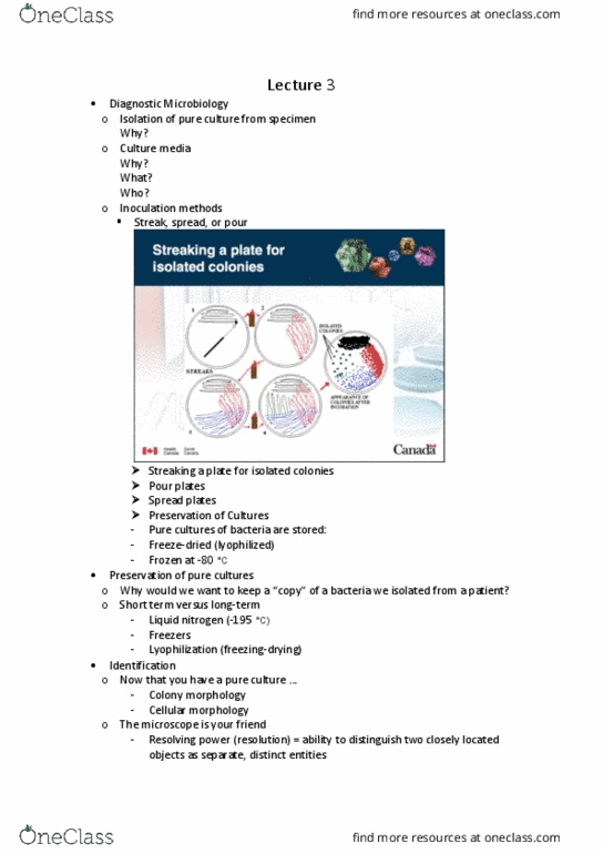 HSS 1100 Lecture Notes - Lecture 3: Immunofluorescence, Intracellular Ph, Osmotic Pressure thumbnail