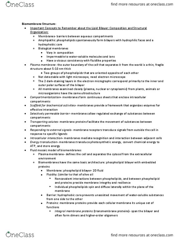 BSC 300 Lecture Notes - Lecture 8: Lysine, Alkanolamine, Close-Packing Of Equal Spheres thumbnail