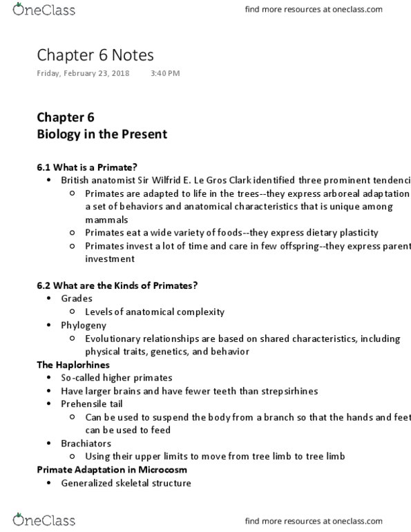 ANTH 101 Chapter Notes - Chapter 6: Depth Perception, Olfactory Bulb, Rhinarium thumbnail