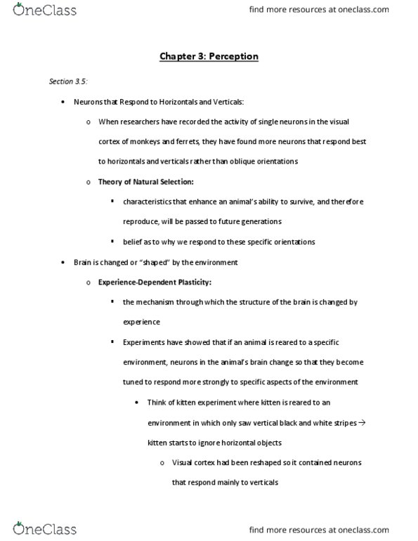 PSY30400 Chapter Notes - Chapter 3: Visual Cortex thumbnail