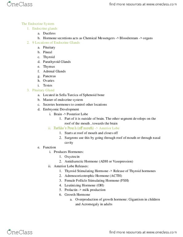 BIOL 065 Lecture Notes - Melatonin, Sphenoid Bone, Circadian Rhythm thumbnail