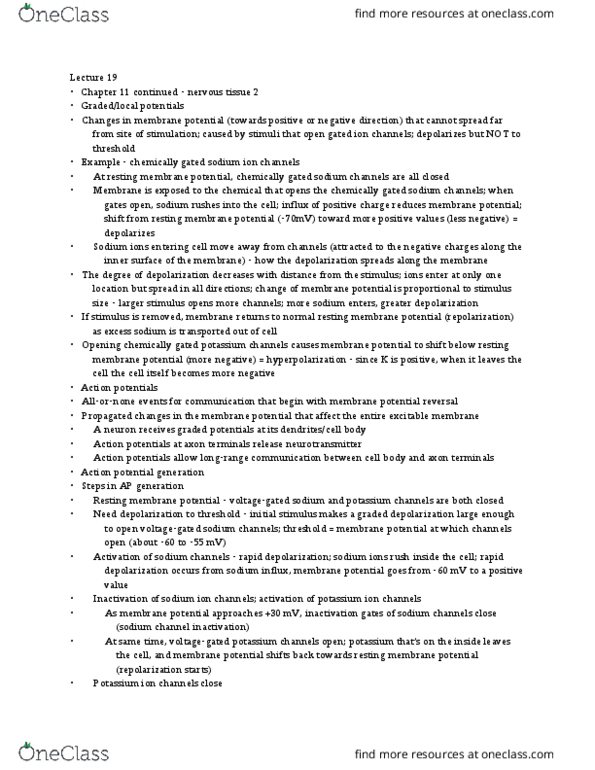 KAAP220 Lecture Notes - Lecture 19: Electrical Synapse, Channel Types, Upper Set thumbnail