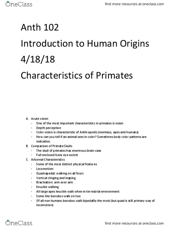 ANTH 102 Lecture Notes - Lecture 16: Simian, Color Vision, Brachiation thumbnail