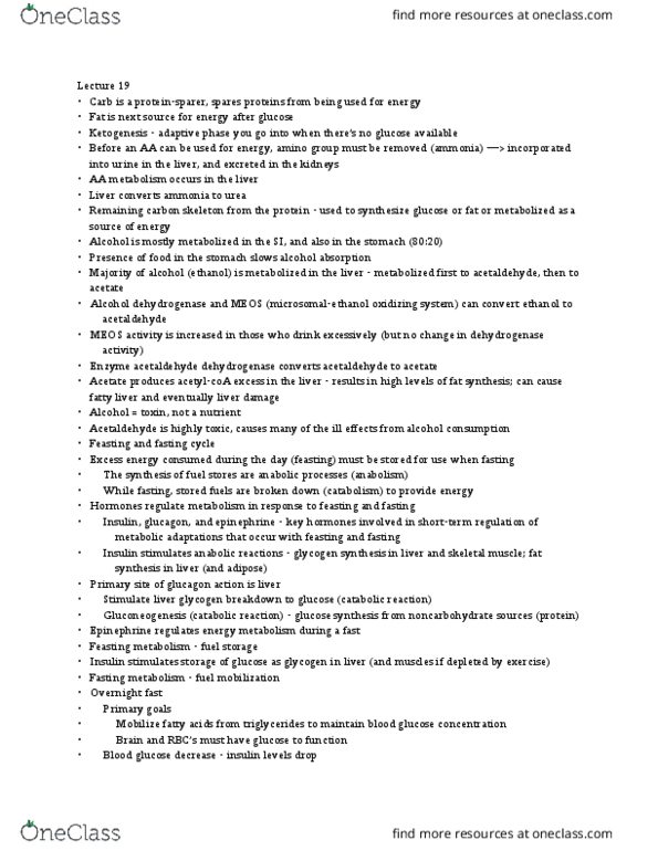 NTDT200 Lecture Notes - Lecture 19: Osteoporosis, Hfe Hereditary Haemochromatosis, Phenylalanine thumbnail