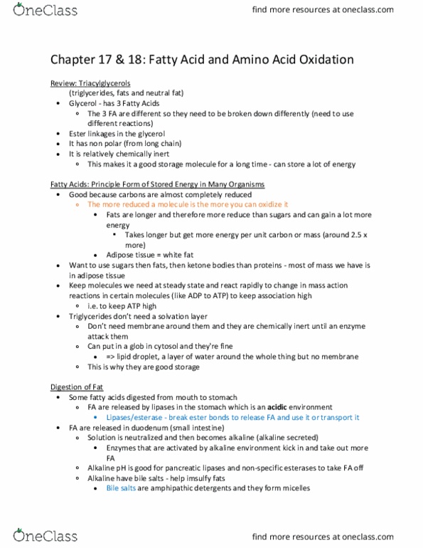 MCDB 310 Lecture Notes - Lecture 19: Acetyl-Coa, Chylomicron, Acetyl Group thumbnail