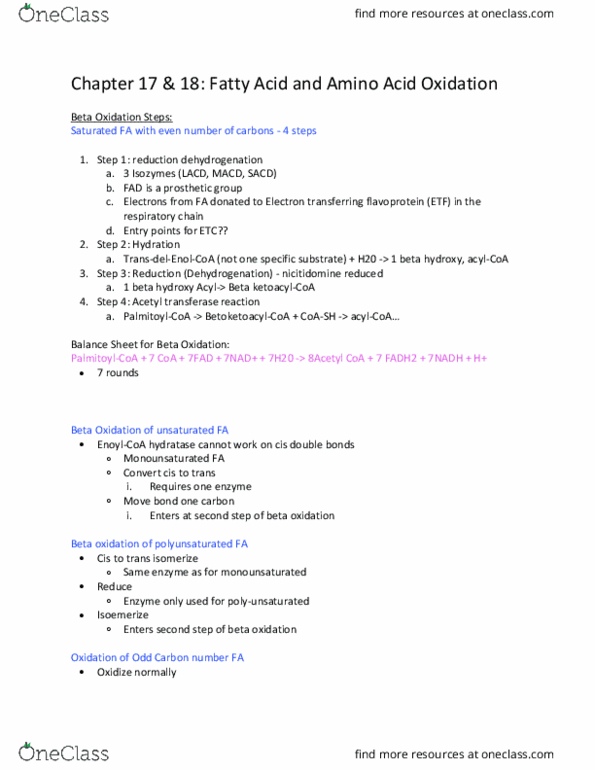MCDB 310 Lecture Notes - Lecture 20: Endoplasmic Reticulum, Oxaloacetic Acid, Cytosol thumbnail