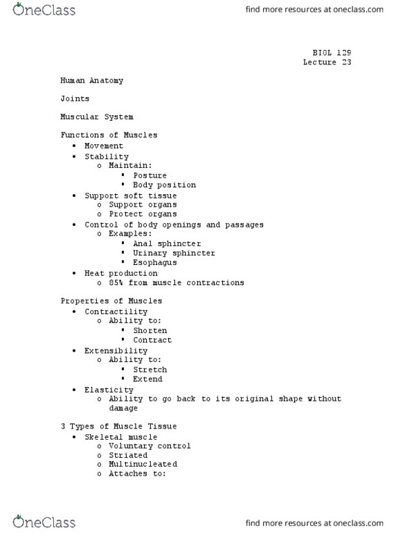 BIOL 129 Lecture Notes - Lecture 23: Arrector Pili Muscle, Cardiac Muscle, Skeletal Muscle thumbnail