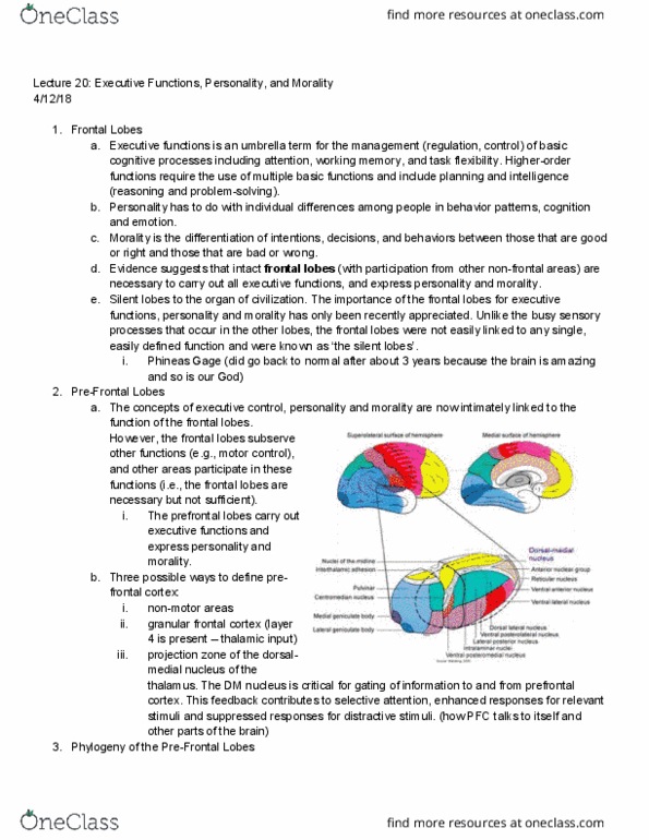 BCS 110 Lecture Notes - Lecture 20: Reduced Affect Display, Temporal Lobe, Neuroticism thumbnail