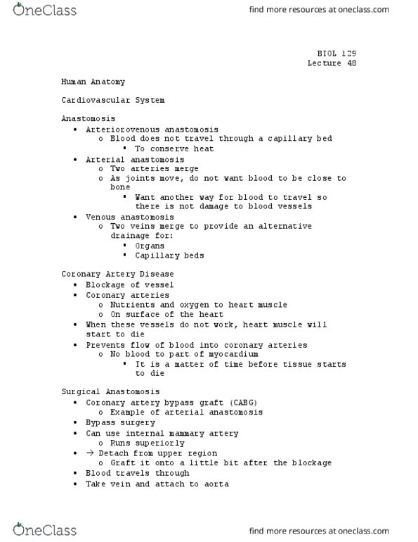 BIOL 129 Lecture Notes - Lecture 48: Collagen, Basement Membrane, White Blood Cell thumbnail