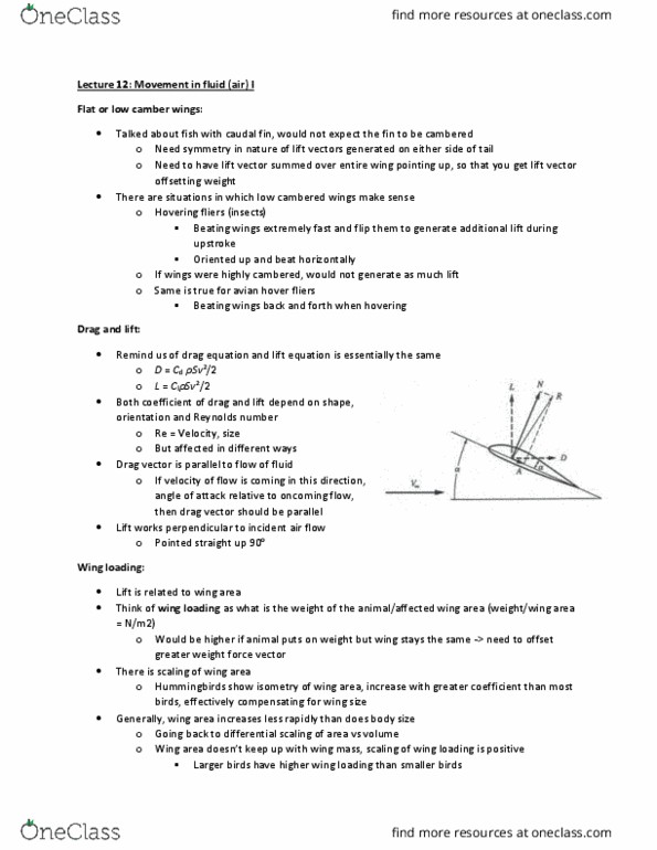 BIOD43H3 Lecture Notes - Lecture 12: Ground Reaction Force, Kilogram, Ridge Lift thumbnail