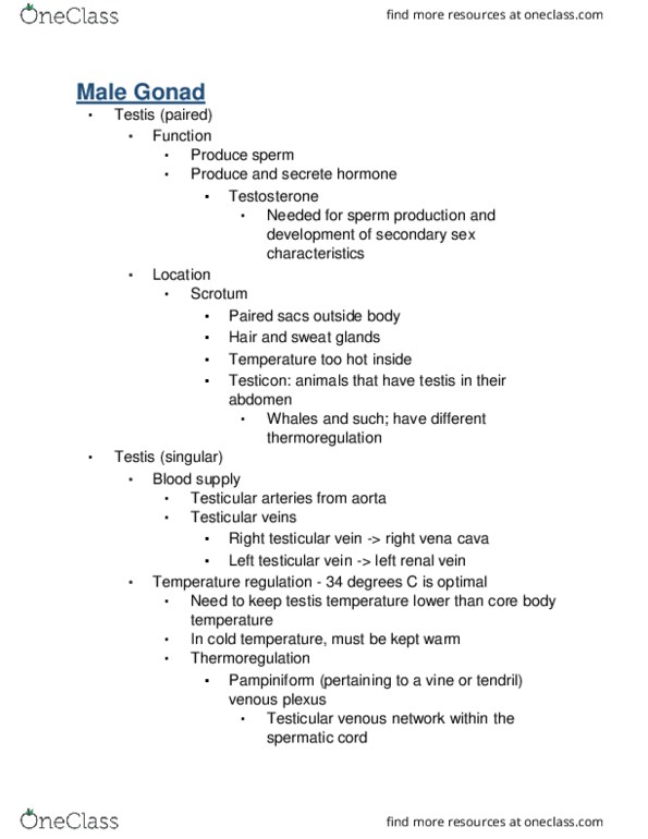 VIBS 305 Lecture Notes - Lecture 16: Evaporative Cooler, Skeletal Muscle, Bulbus Glandis thumbnail