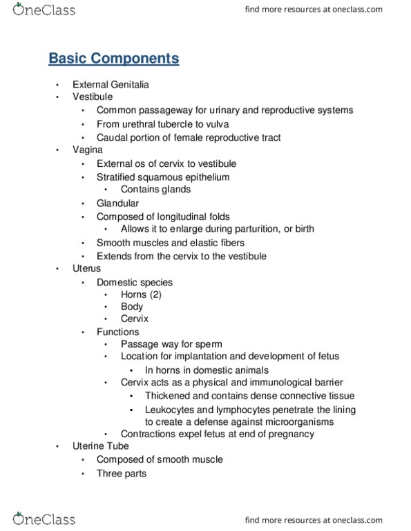 VIBS 305 Lecture Notes - Lecture 17: Peritoneum, Ovulation, Lumbar Vertebrae thumbnail