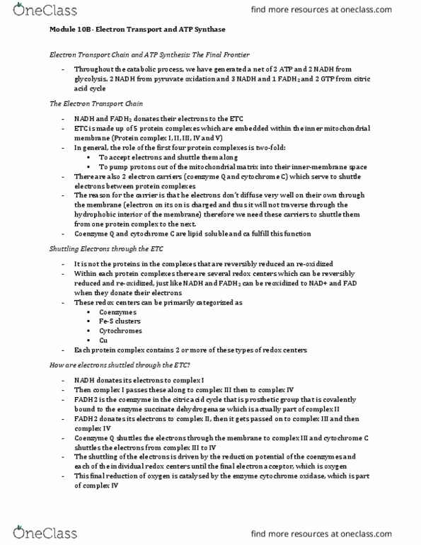 BIOCHEM 2EE3 Lecture Notes - Lecture 10: Phosphorylation, Oxidative Phosphorylation, Conformational Change thumbnail