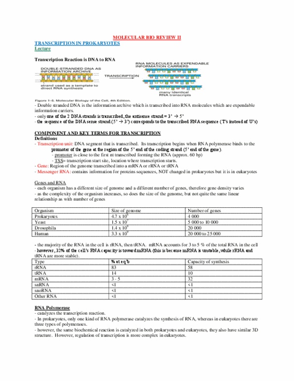 BCH 3170 Lecture Notes - Release Factor, World Federation Of Trade Unions, Prokaryotic Small Ribosomal Subunit thumbnail