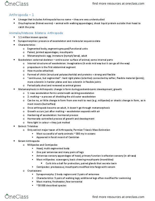 Biology 3484A/B Lecture Notes - Lecture 11: Arachnid, Hemocyanin, Chelicerata thumbnail