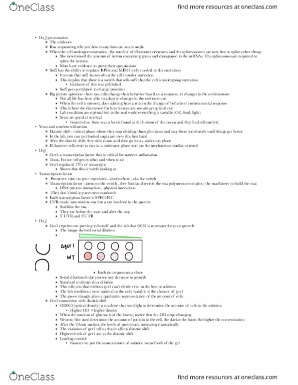 BMD RES 5HA Lecture Notes - Lecture 4: Polyacrylamide Gel Electrophoresis, Antibody, Reducing Agent thumbnail