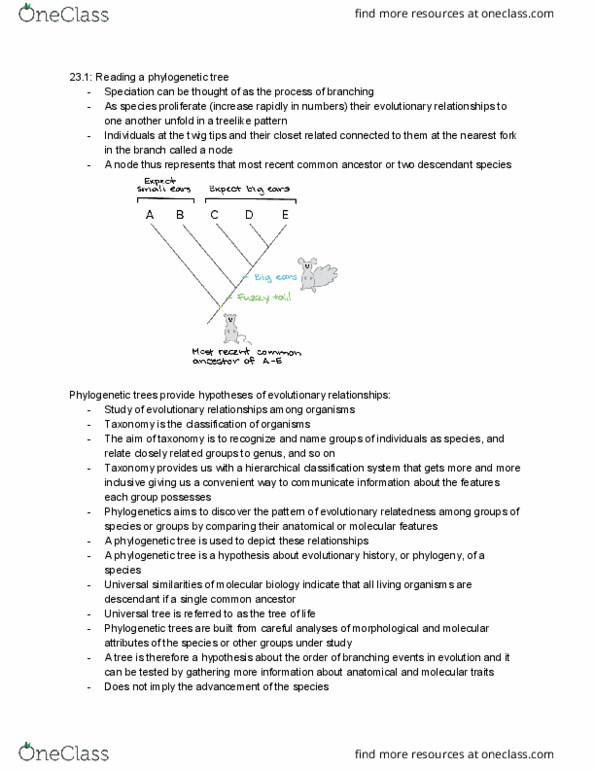BI111 Chapter Notes - Chapter 23.1/23.2: Archaea, Polyphyly, Last Universal Common Ancestor thumbnail