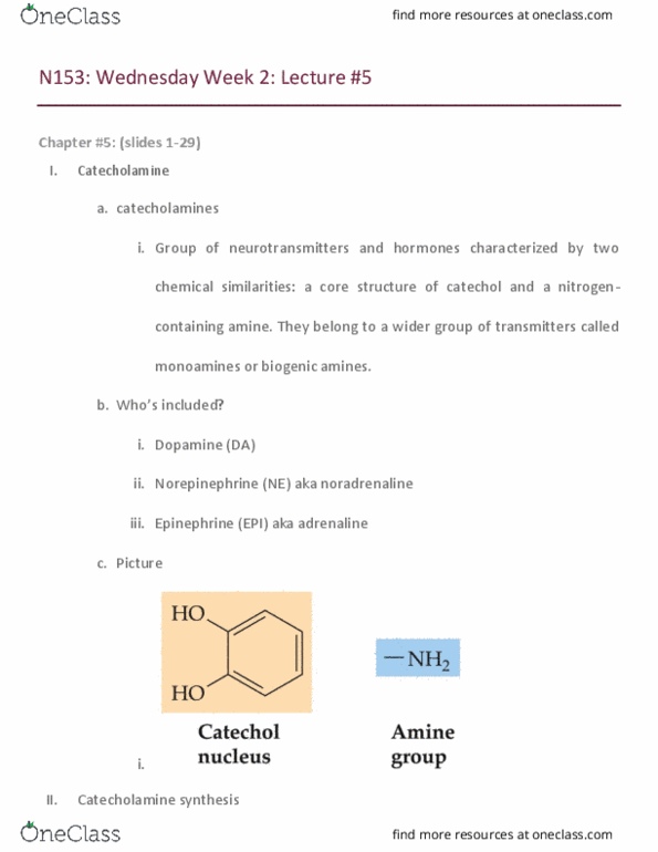 BIO SCI N153 Lecture Notes - Lecture 5: Basal Ganglia, Vesicular Monoamine Transporter 1, Aromatic L-Amino Acid Decarboxylase thumbnail