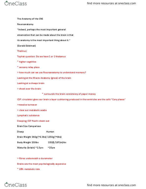 PSY290H5 Lecture Notes - Lecture 1: Sagittal Plane, Brainstem, Midbrain Tectum thumbnail