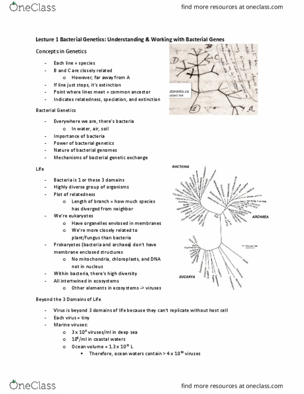 BIO260H1 Lecture Notes - Lecture 1: Rifampicin, Peptidoglycan, Microbiological Culture thumbnail