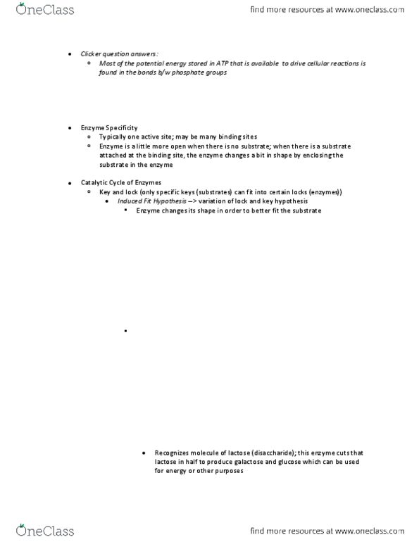 BI110 Lecture Notes - Lecture 12: Reaction Rate, Galactose, Peroxidase thumbnail