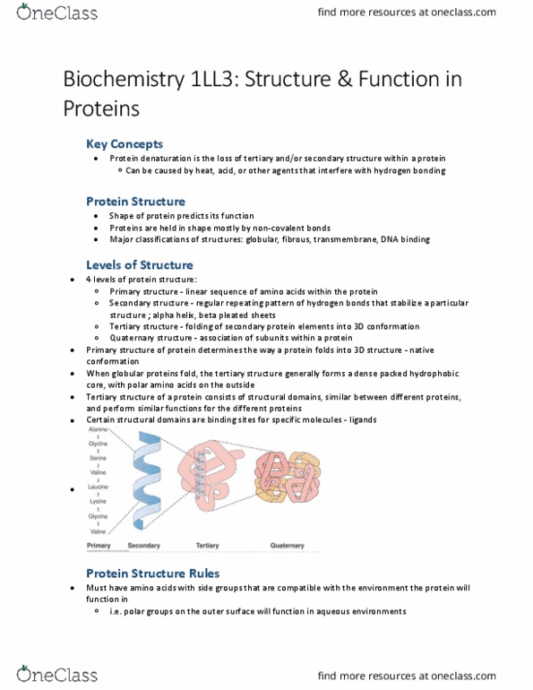 HTHSCI 1LL3 Lecture Notes - Lecture 6: Glycation, Hemoglobin, Glycated Hemoglobin thumbnail