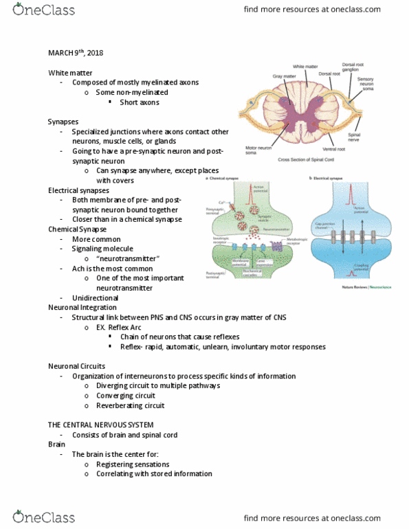 document preview image