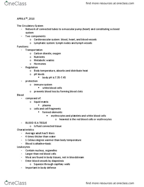 BIOL 240 Lecture Notes - Lecture 26: Granulocyte, Endocardium, Megakaryocyte thumbnail