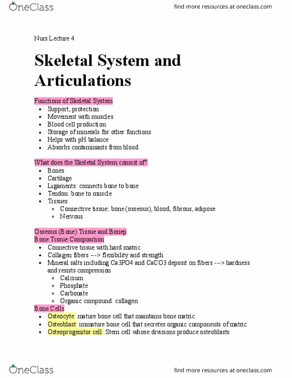 MUSIC 120 Lecture Notes - Lecture 4: Endochondral Ossification, Scapula, Endosteum thumbnail