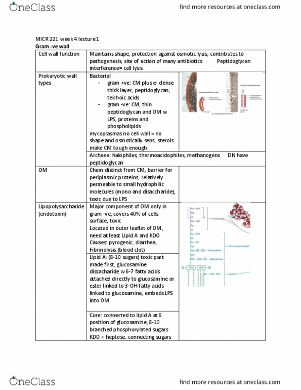 MICR 221 Lecture Notes - Lecture 10: Maltose, Antibody, Lipoprotein thumbnail