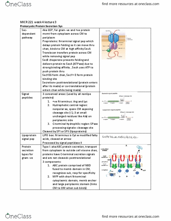 MICR 221 Lecture Notes - Lecture 12: Atp Hydrolysis, Hemolysis, Fusion Protein thumbnail