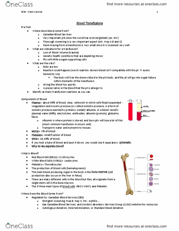 Nursing 3920A/B Lecture Notes - Lecture 1: Hematocrit, Bronchospasm, Fetal Circulation thumbnail