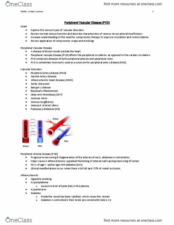 Nursing 3920A/B Lecture Notes - Lecture 1: Arteriole, Femoral Artery, Bowling Pin thumbnail