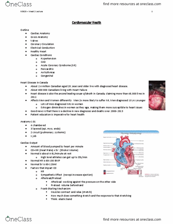 Nursing 3920A/B Lecture Notes - Lecture 2: Coronary Artery Bypass Surgery, Pulmonary Atresia, Fluid Balance thumbnail