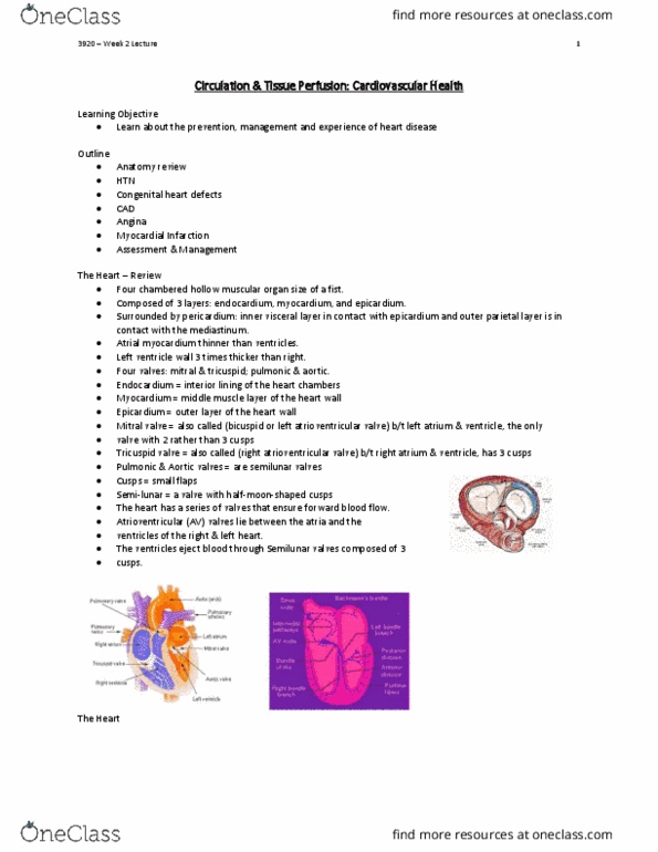 Nursing 3920A/B Lecture Notes - Lecture 3: Antiplatelet Drug, Systolic Geometry, Ductus Arteriosus thumbnail