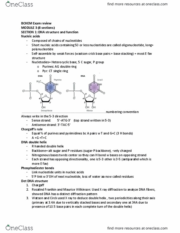 BCHM 218 Lecture Notes - Lecture 19: Gentamicin, Arginine, Bactericide thumbnail