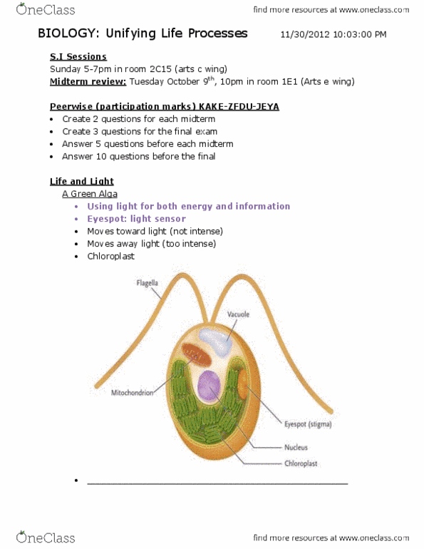 BI110 Lecture Notes - Cell Plate, Inner Membrane, Telomere thumbnail
