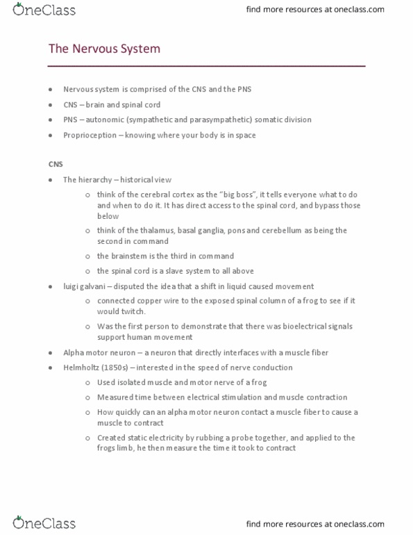 Kinesiology 1080A/B Lecture Notes - Lecture 2: Motor Learning, Extrafusal Muscle Fiber, David H. Hubel thumbnail