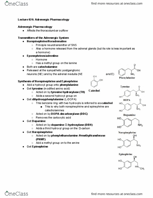 Pharmacology 3620 Lecture Notes - Lecture 25: Migraine, Monoamine Oxidase, Angina Pectoris thumbnail