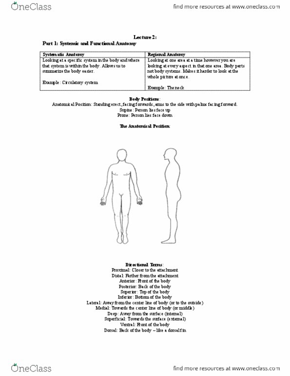 Health Sciences 2300A/B Lecture Notes - Lecture 2: Trachea, Perineum, Organism thumbnail
