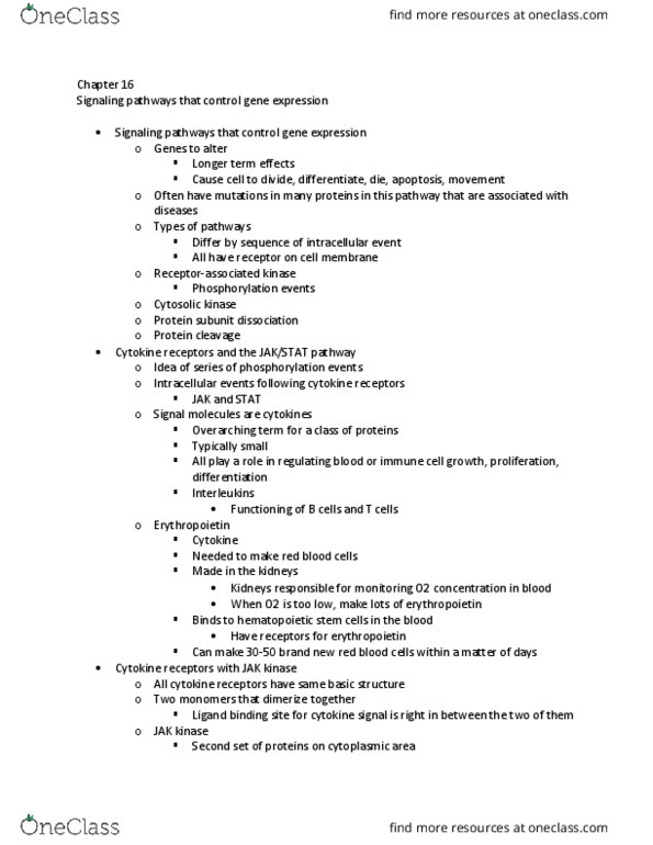 BIOL-4610 Lecture Notes - Lecture 11: Ptpn6, Ubiquitin Ligase, Proline thumbnail