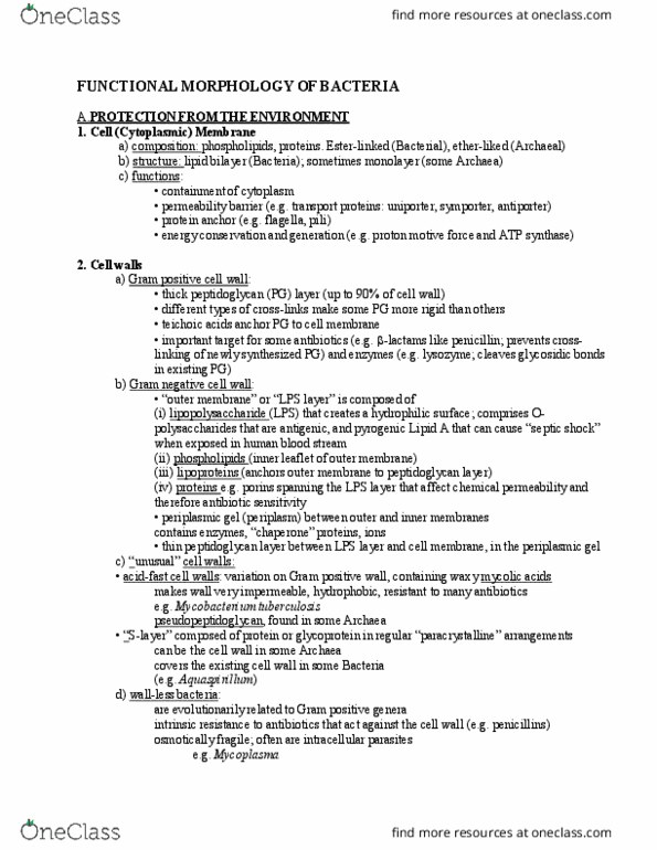 MICRB265 Lecture Notes - Lecture 2: Teichoic Acid, Septic Shock, Paracrystalline thumbnail